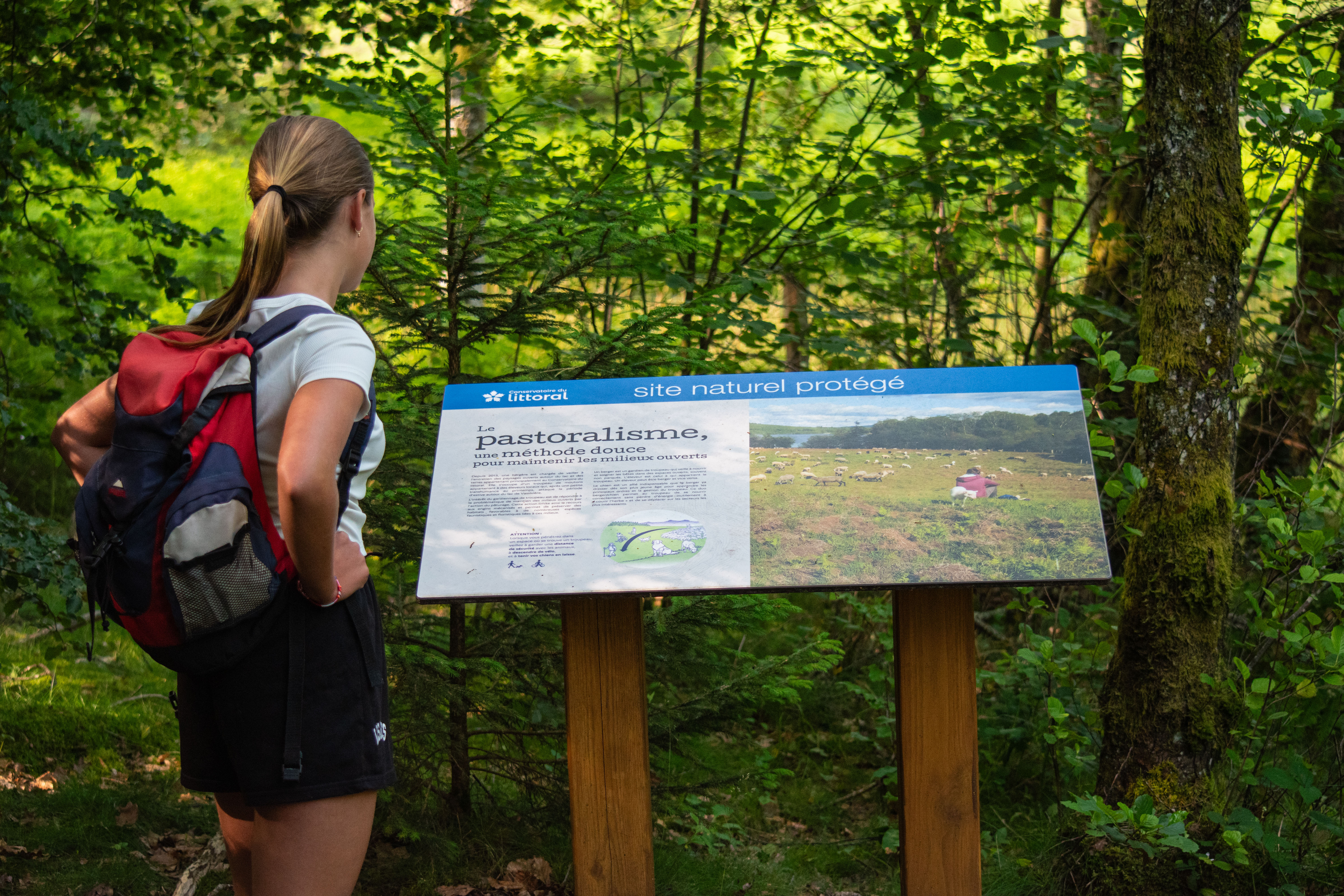 Panneau d’interprétation sur un sentier remarquable — © Tourisme Creuse
