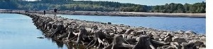 Ancienne digue de l’étang de la Jassine