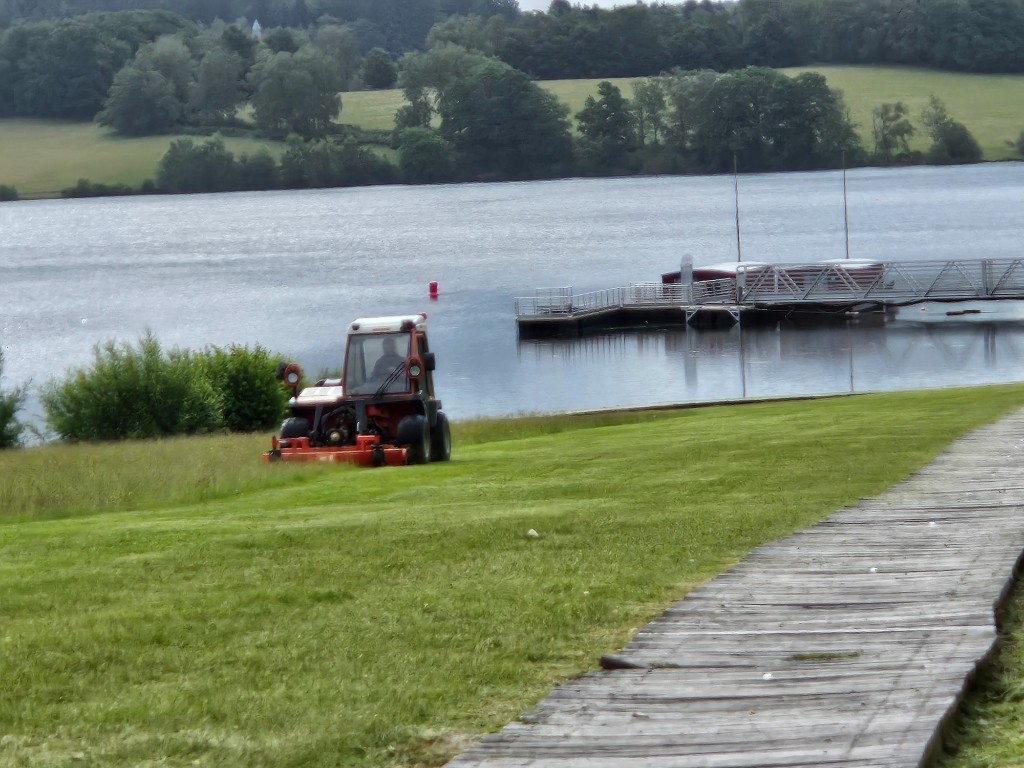 Entretien des berges du lac