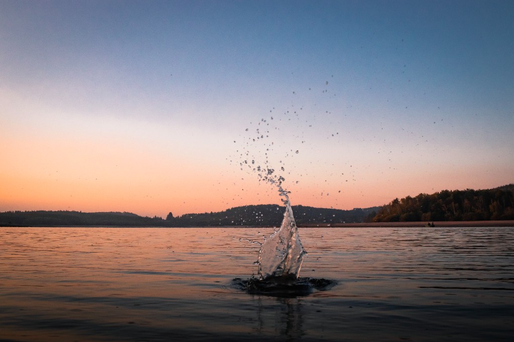 Qualité de l’eau du Lac de Vassivière